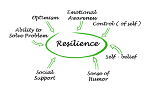 Resilience Process Redlands Psychologists | Alliance Psychology | Brisbane
